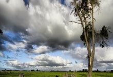 熊猫体育官网:迪洛伦佐:这样的比赛就是由细节决定的,这方面德国做得更好.