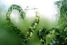 德甲:拜仁慕尼黑3比0轻取柏林联盟.