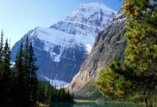 波特持球突破隔扣打成2+1,为雄鹿坚持追分.