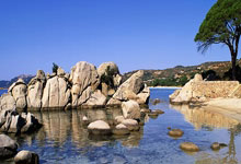 米体:纽卡斯尔关注加蒂,并将与阿森纳竞争弗拉霍维奇.